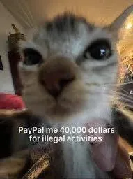 PayPal Me for Illegal Activities