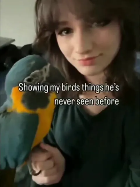 Parrot Discovers 2 Girls 1 Cup