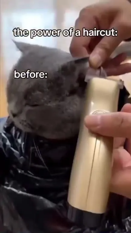 The Power of a Haircut