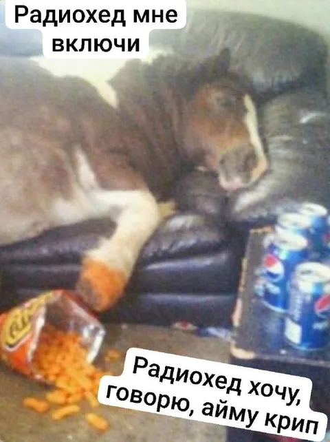 Кот просит включить Radiohead