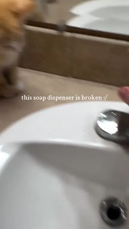 The Broken Soap Dispenser Is a Kitten