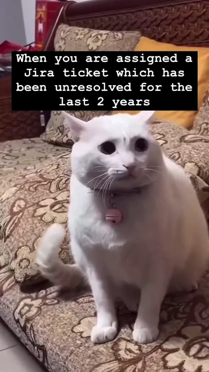 Unresolved JIRA Ticket Cat
