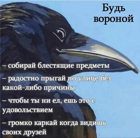 Будь настоящим вороном