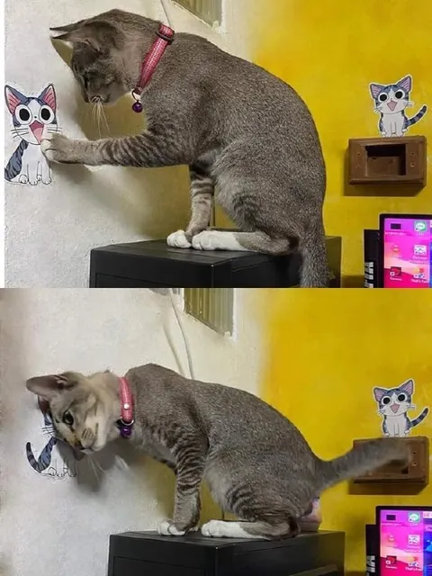 Кот нападает на рисунок кота