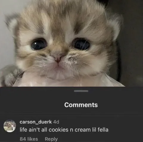 Life Ain't All Cookies and Cream