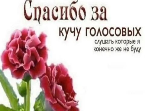Спасибо за голосовые