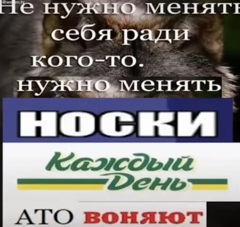 Менять нужно только носки