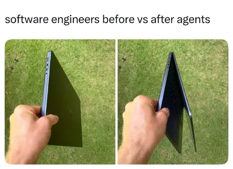 Software Engineers Before and After Agents