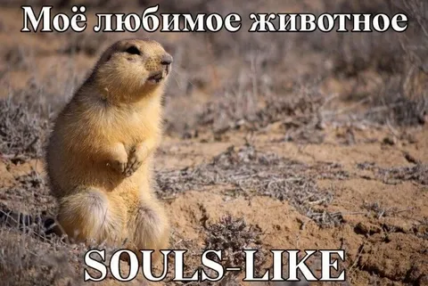 Любимое животное — соулслайк