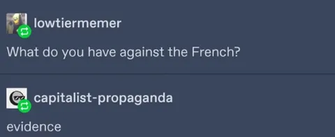 What Do You Have Against the French?