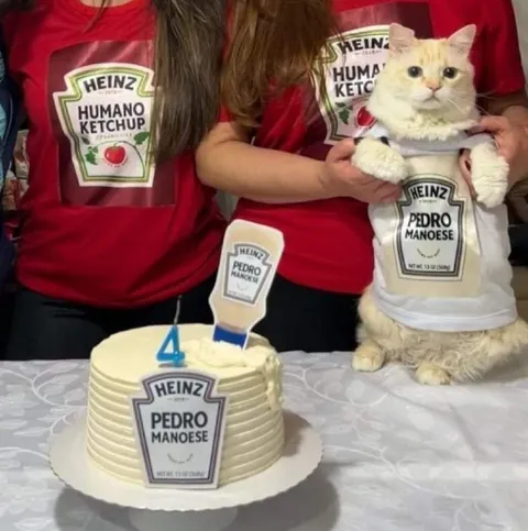 Pedro Manoese Cat Birthday