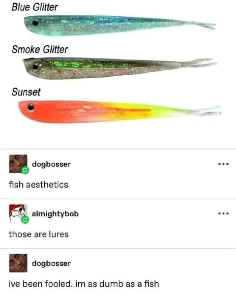 Fish Aesthetics Lure Confusion