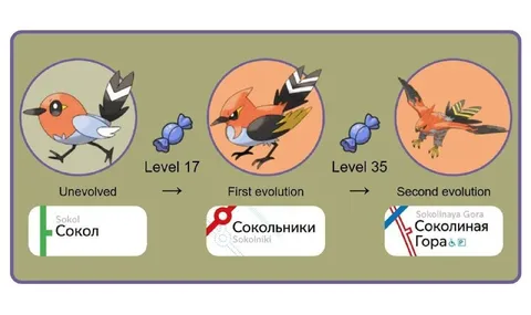 Эволюция московского сокола