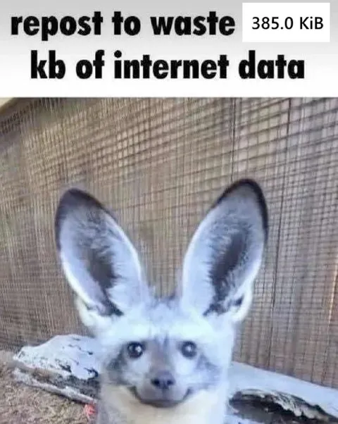 Repost to Waste Internet Data