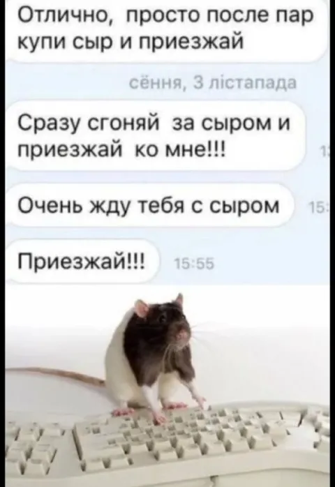 Крыса ждёт сыр