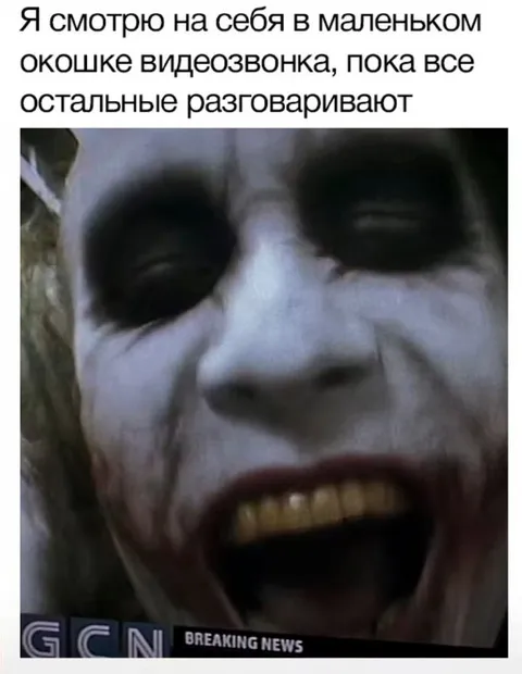 Я в маленьком окне видеозвонка