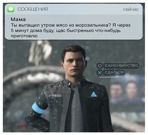 Мама попросила достать мясо