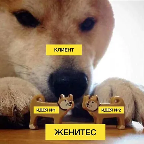 Клиент выбирает между двумя идеями