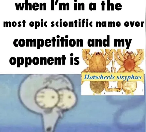 When the scientific name is unbeatable