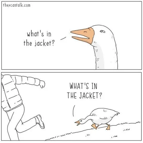 What's in the Jacket Goose Joke