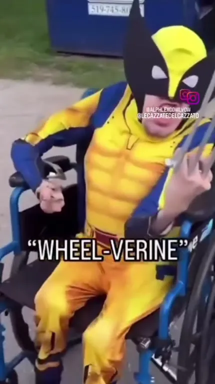 Wheel-Verine в инвалидной коляске