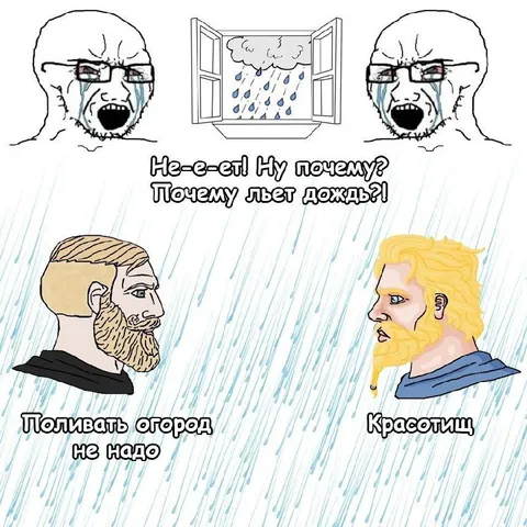 Дождь поливает огород