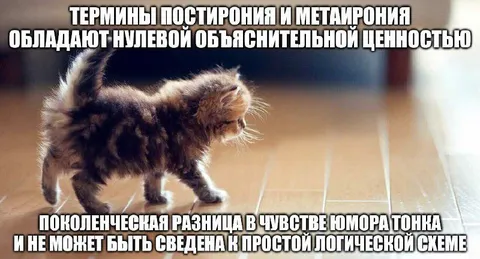 Кот и тонкая грань юмора