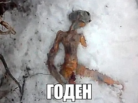 Годен на все сто