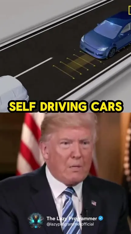 Neural Networks Explained by Trump