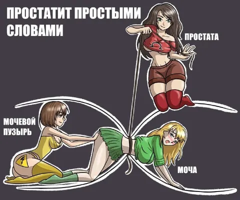 Простатит простыми словами