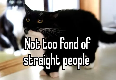 Cat Dislikes Straight People