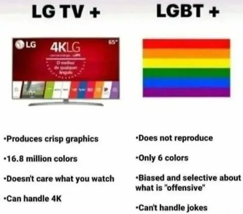 LG TV vs LGBT+