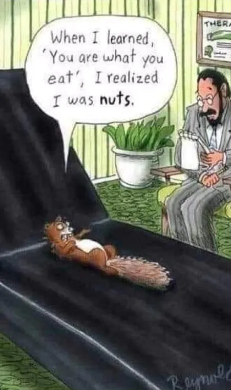 You Are What You Eat Nuts