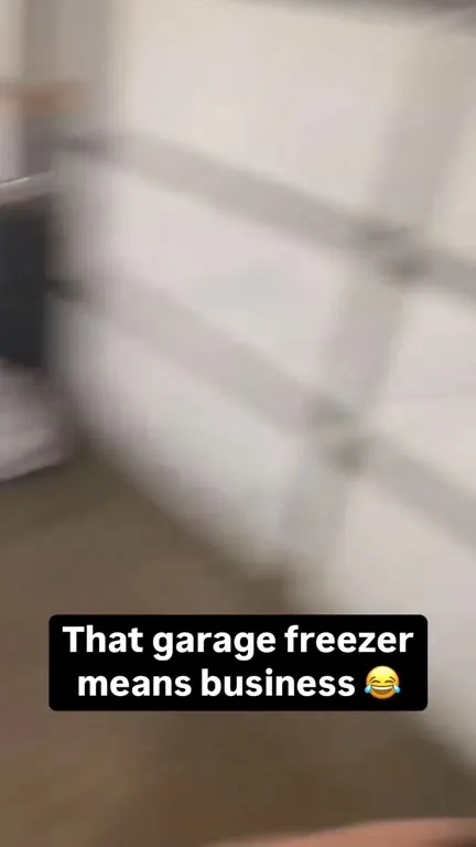 That Garage Freezer Means Business