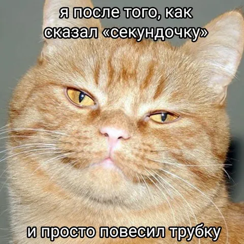После «секундочку» повесил трубку