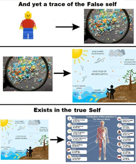 Microplastics in the True Self
