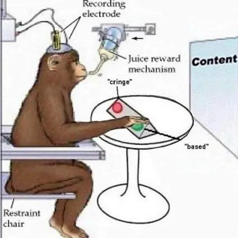 Monkey Chooses Based Over Cringe