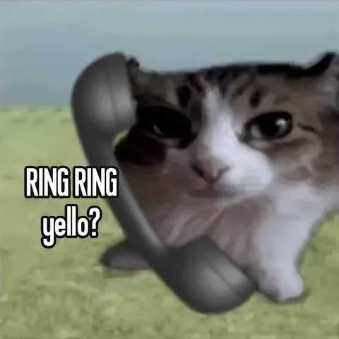 Cat Answering the Phone