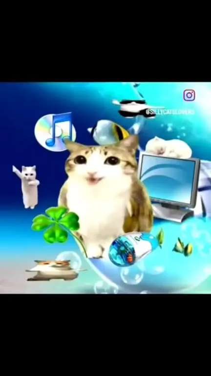 Сюрреалистичный кот на все случаи