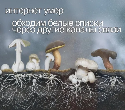Интернет умер, но связь есть