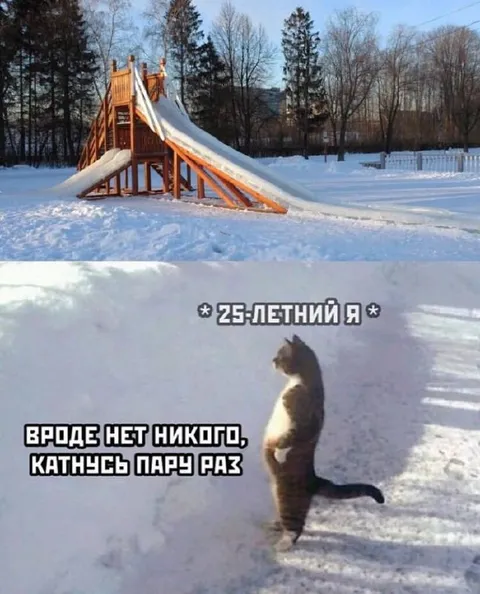 25-летний катается с горки