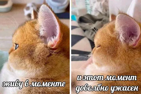 Живу в моменте, и он ужасен