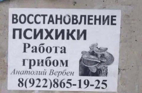 Восстановление психики грибом