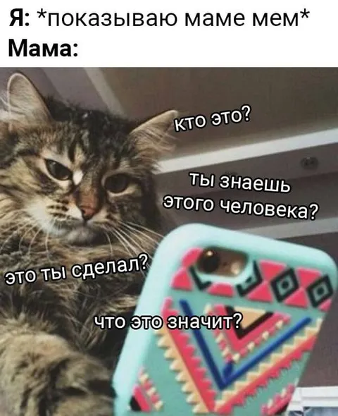 Мама задаёт вопросы про мем