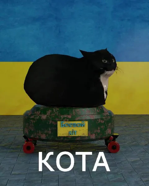 Боевой кот на мине