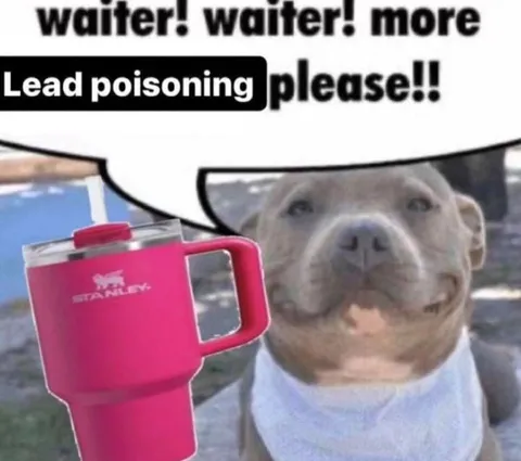 Lead Poisoning Please