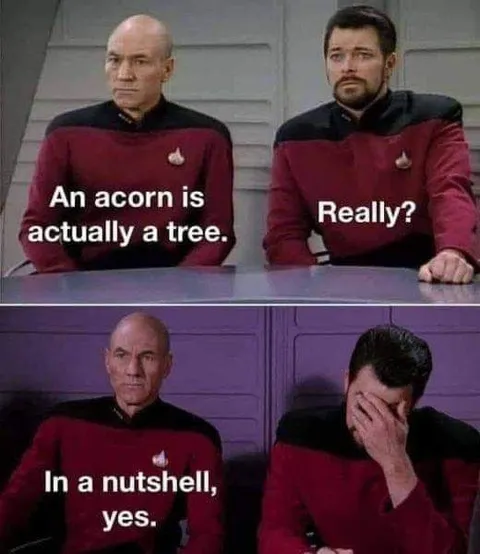 An Acorn Is Actually a Tree