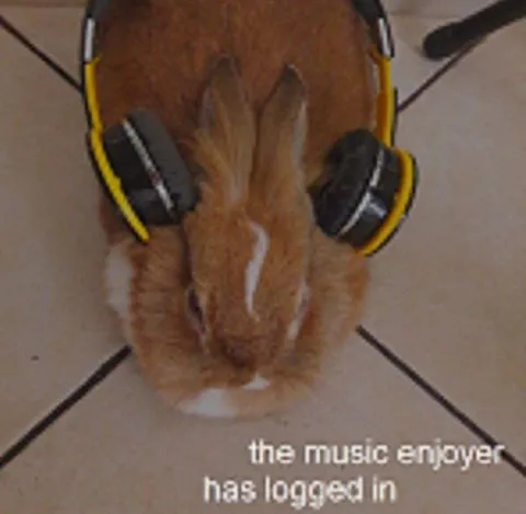 The Music Enjoyer Has Logged In