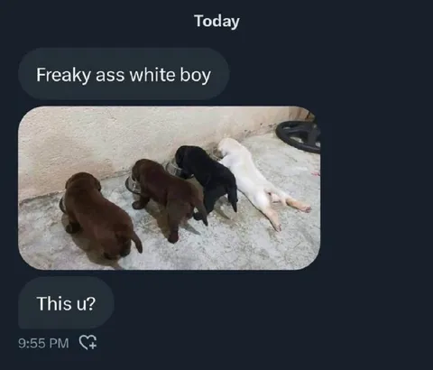 Freaky White Boy Puppies