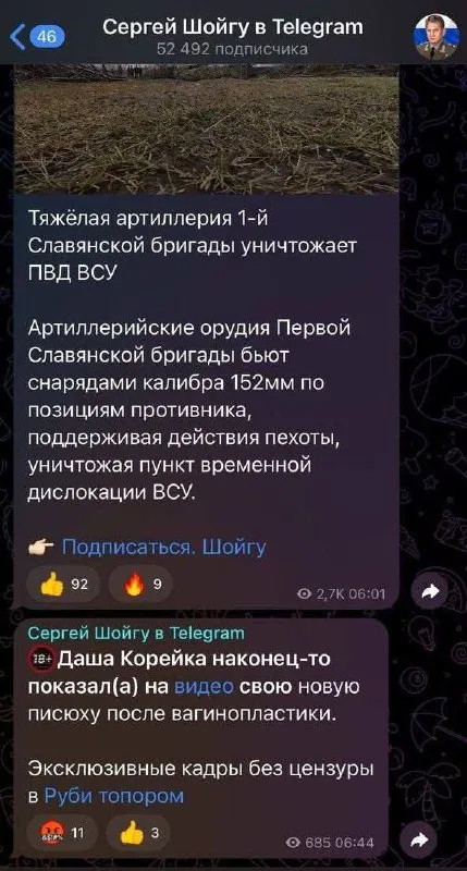 Шойгу публикует странные новости